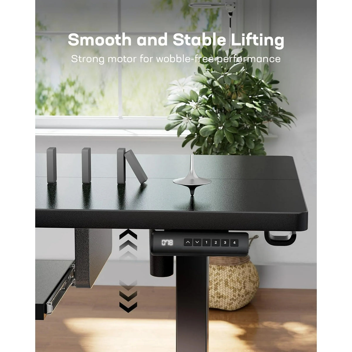 48" x 24" Electric Standing Desk Table