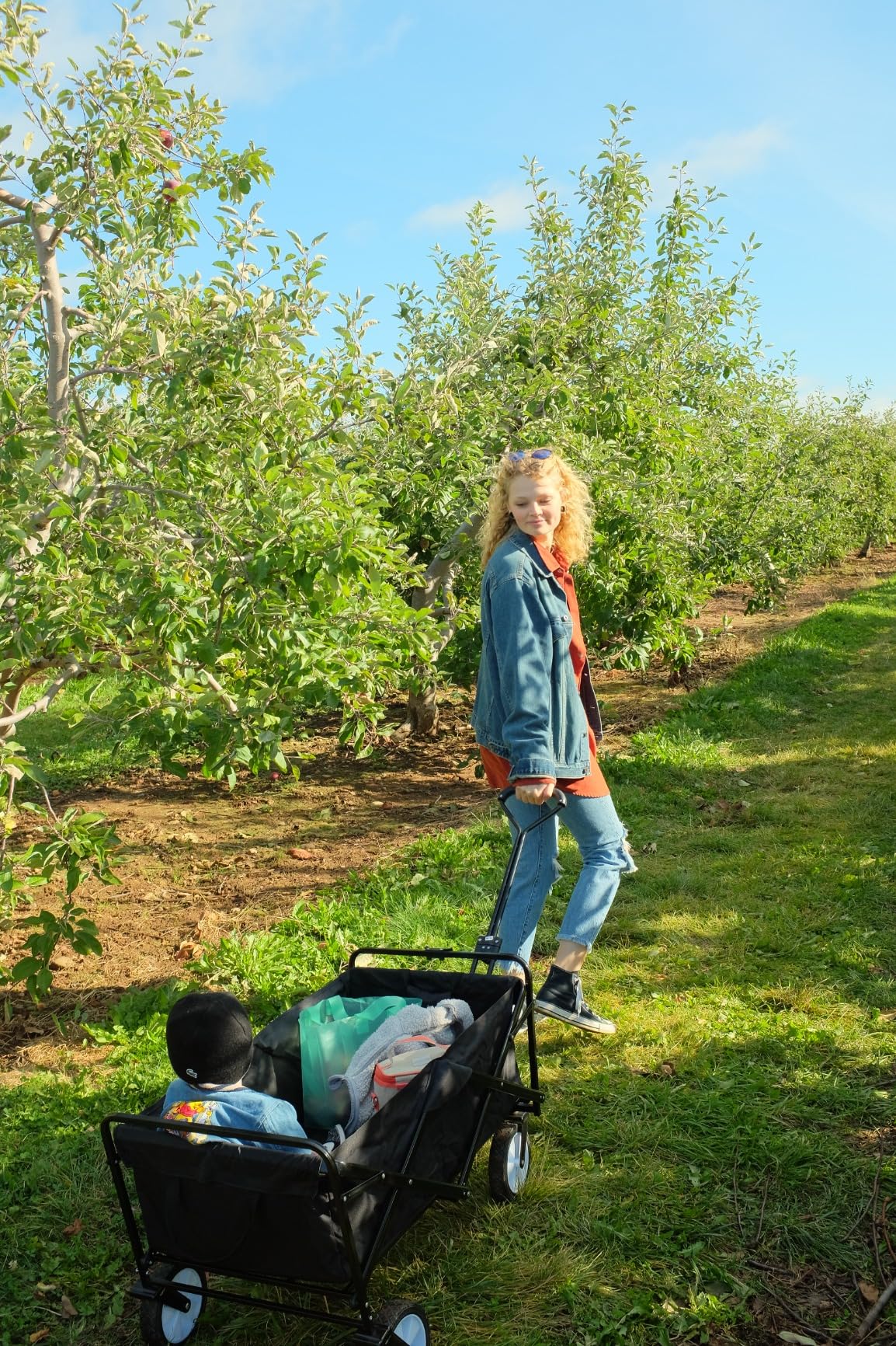 Basic Design Folding Wagon Cart