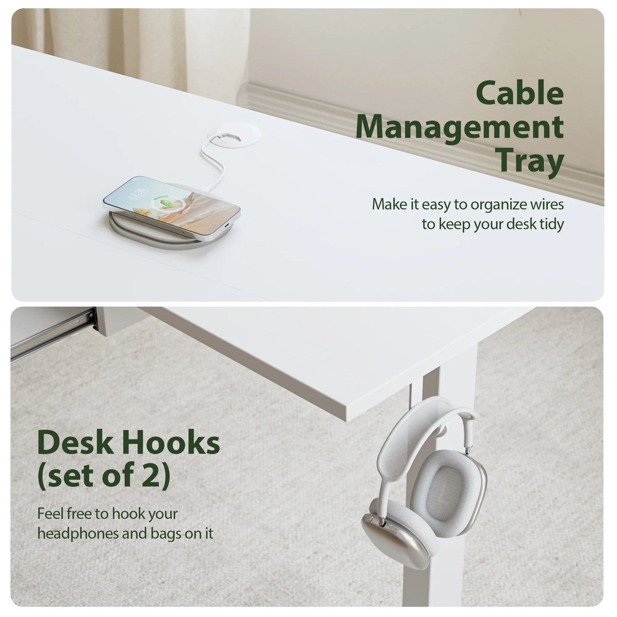 48" x 24" Electric Standing Desk Table