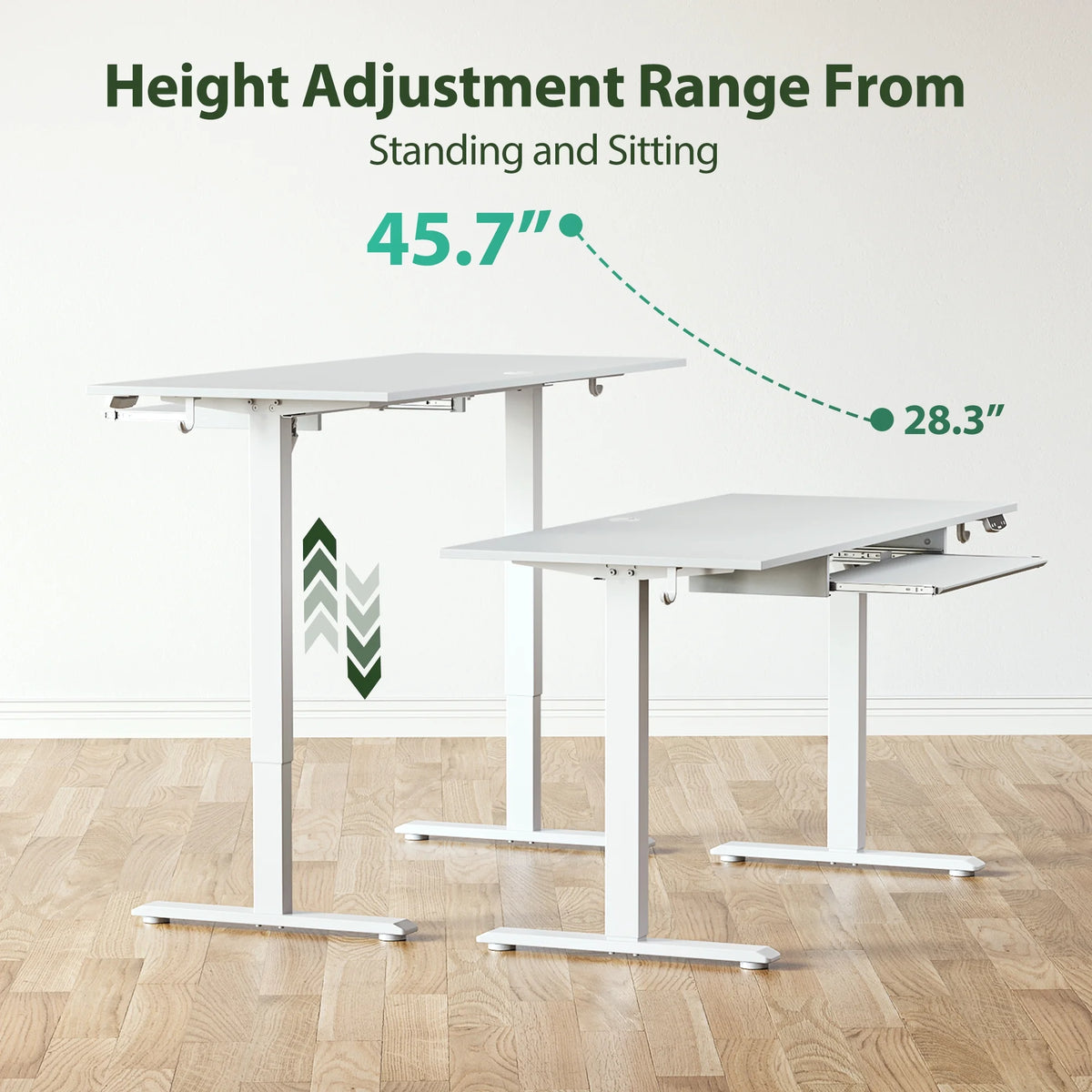 48" x 24" Electric Standing Desk Table