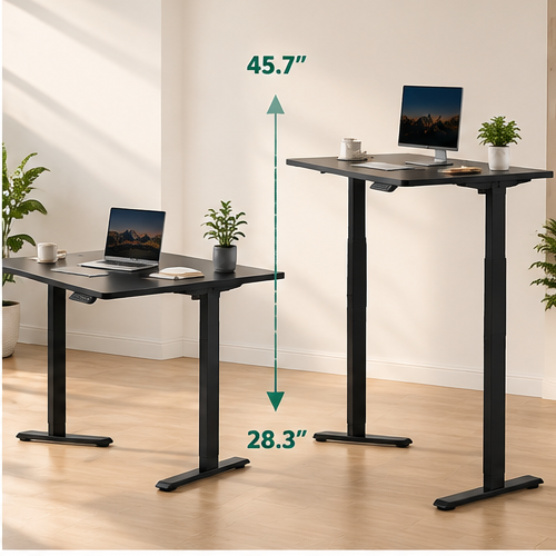 48" x 24" Electric Standing Desk Table