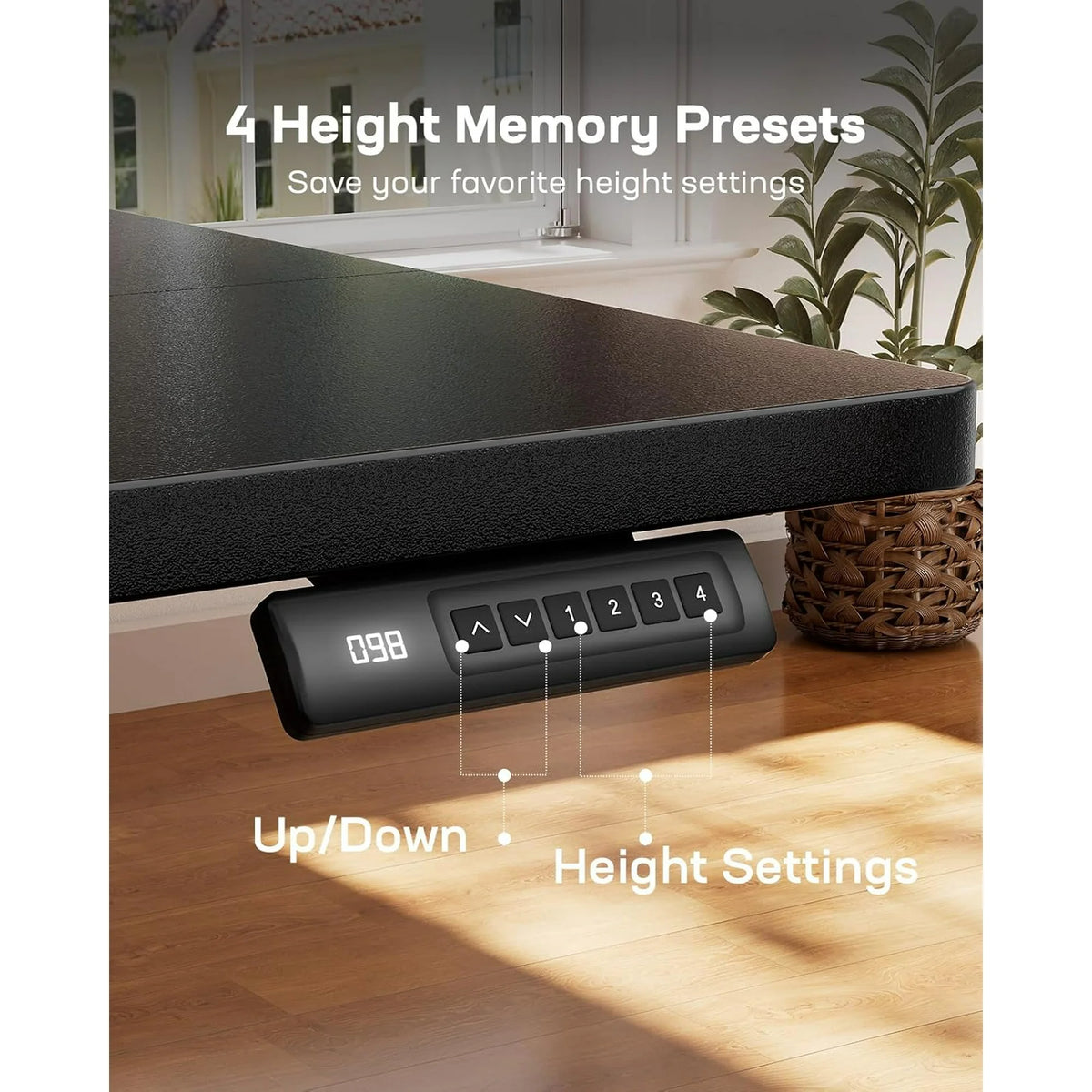 48" x 24" Electric Standing Desk Table