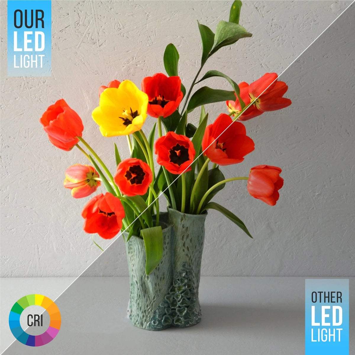 6 Inch 3 CCT LED Recessed Slim Pot Light with Junction Box, 3 CCT, 15W 1050LM