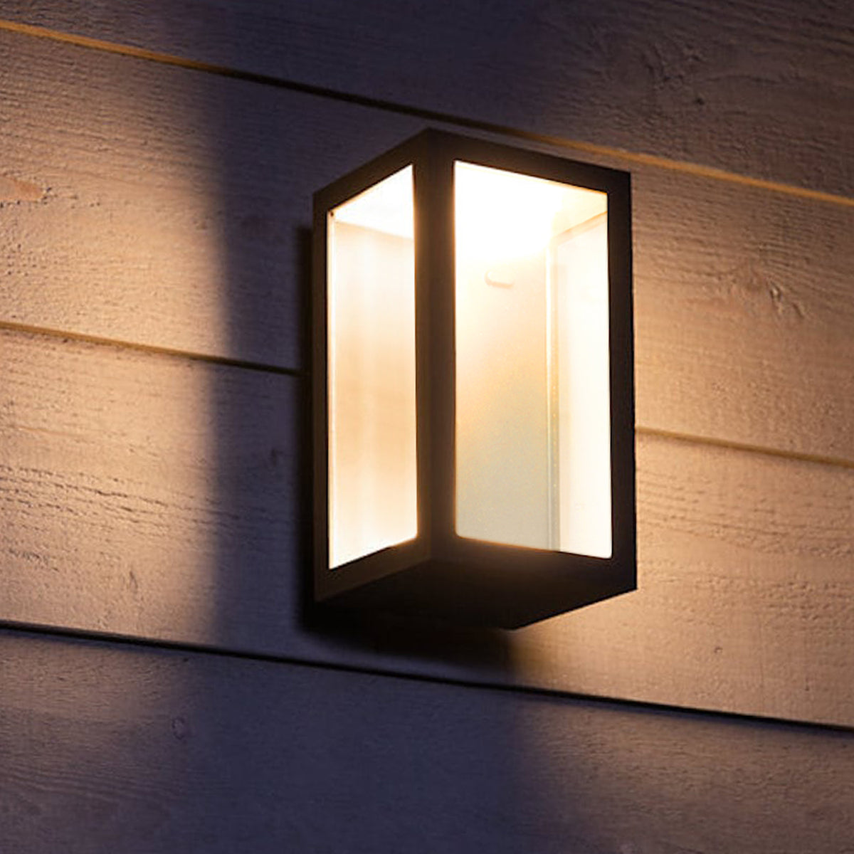 Outdoor Indoor Wall Sconce, Outdoor Wall Light, Matte Black, Clear Glass Shade, 10W, 780 Lumen
